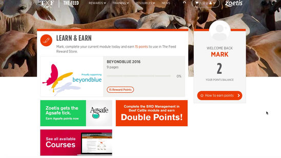 Customer elearning training and LMS solution overview